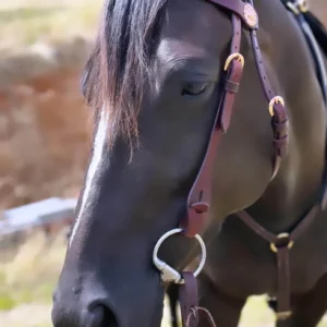 TIFFANY” Rose Gold Quick Change Bridle