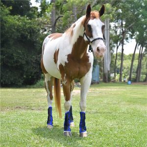 Horsemaster Ballistic Fly Boots - Set of 4