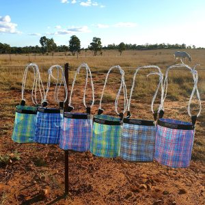 Mesh Nosebag with Canvas Base