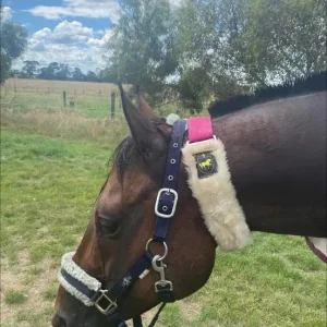 Equi Stitch Crib Collar
